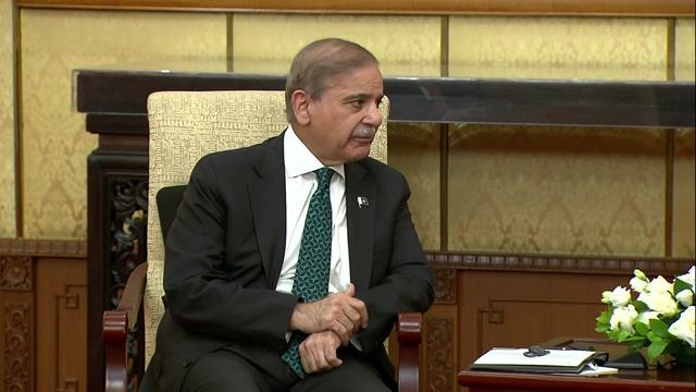 Встреча с Шехбазом Шарифом смотреть онлайн