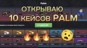 ОТКРЫЛ 10 КЕЙСОВ В PALM БЛОК СТРАЙК
