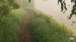 Рассказы интересные истории из жизни людей. В поисках своего принца...