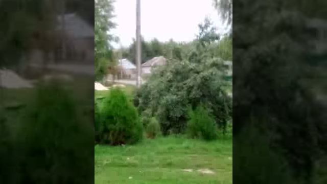 Люди - это весь день