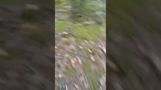 1 сезон 5 серия улица №2 смотреть онлайн