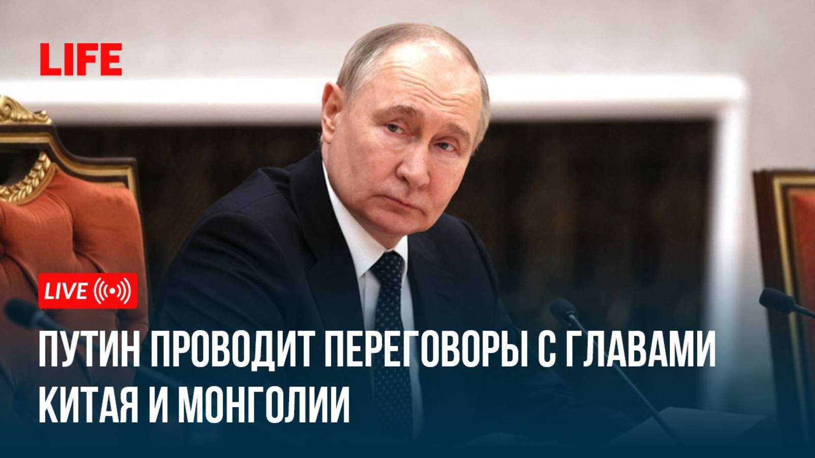 Путин проводит переговоры с главами Китая и Монголии смотреть онлайн