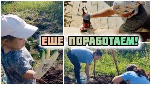 Строим туалет, собираем урожай! 75 выпуск