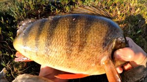 Озеро Монстров. Карелия-рыбалка. Часть 2