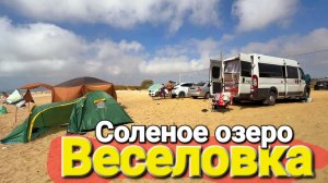 #ВЕСЕЛОВКА 2025 Соленое озеро это просто шок!