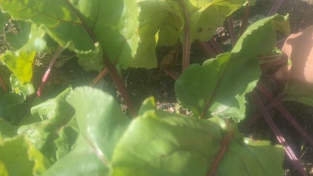 🔥ЗАЖИГАЙ И УЗНАВАЙ✨