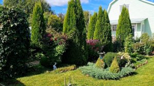 Уютная дача!🏡 Букет внуку на 1 сентября 2025г.💐Обзор цветов!🍁 Ленобласть.🍁