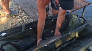 CarpFest 2025 на РСК КУЖОРА