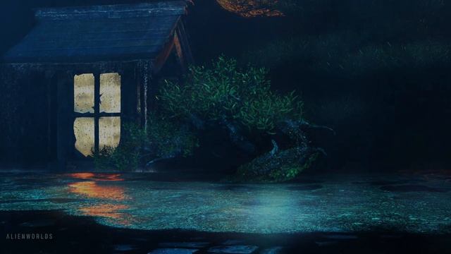 Miyagi Garden ｜ Okinawa ｜ Ambient Soundscape