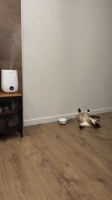 эксперимент #shorts