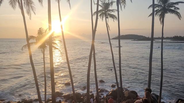 RELAX BEAUTIFUL NATURE Sri Lanka. Расслабляющее видео природы. Волны океана. Пляж. Закат. смотреть онлайн