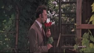 А я несу тебе цветы (клип)