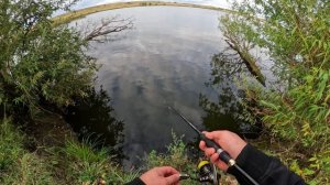 Ловля уклейки на микроблесна на спиннинг