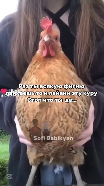 Like_7544080782166762526.mp4 смотреть онлайн