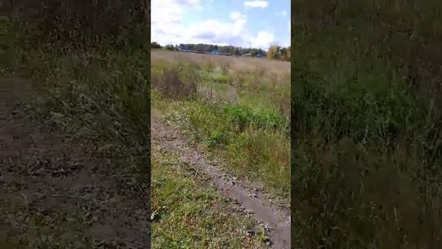 .идëм домой смотреть онлайн