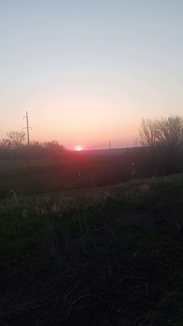 VID_20250416_190303.mp4