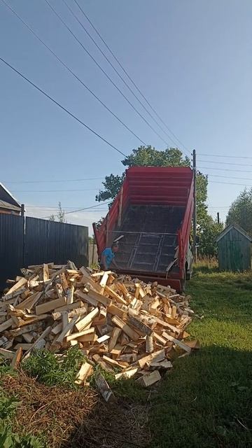 02-09-2025 Дрова🪓 смотреть онлайн