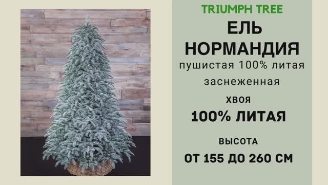 Triumph Tree - ОБЗОР искусственной ели Нормандия пушистая 100% литая заснеженная смотреть онлайн