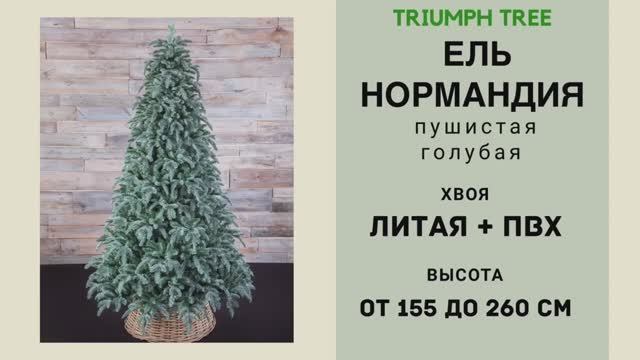 Triumph Tree - ОБЗОР искусственной ели Нормандия пушистая голубая смотреть онлайн