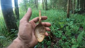 Коп по войне.Серия133! Пряга веймер (1)