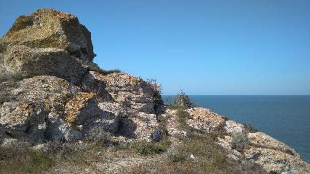 Лучший результат сезона!)Монеты,пуговицы и нападение ящерицы в лесу)