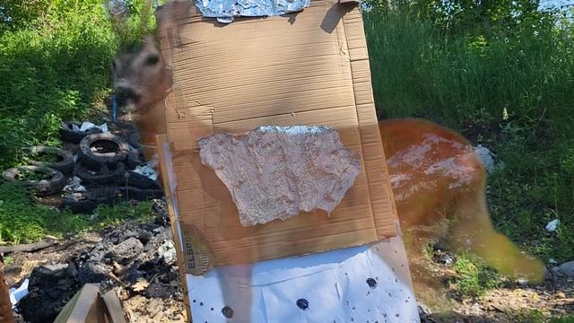 SFH Varg L25.Испытание по КОСУЛЕ