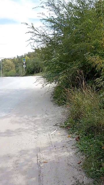 ЗАГАДКА ДЛЯ ВОДИТЕЛЕЙ