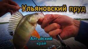 Микроджиговый рай: знакомство с новым озером! Рыбалка с ночёвкой на пруду Ульяновский🔥🎣