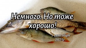 Немного. Но тоже хорошо!