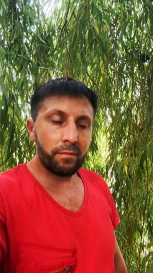 uuid=45CD56BD-CFB4-4FE9-B8BC-9ED9D25F33A5&code=001&library=1&type=3&mode=1&loc=true&cap=true