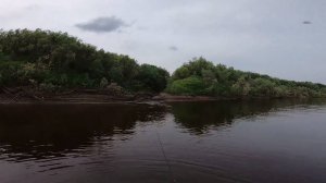 БЕШЕНЫЙ КЛЁВ ОКУНЯ. ЧАСТЬ 1.