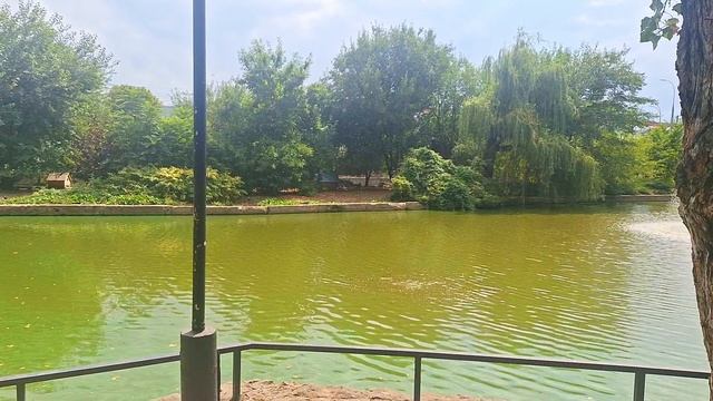 Городской сад в Краснодаре смотреть онлайн