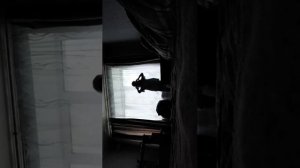 включаю песни🤘