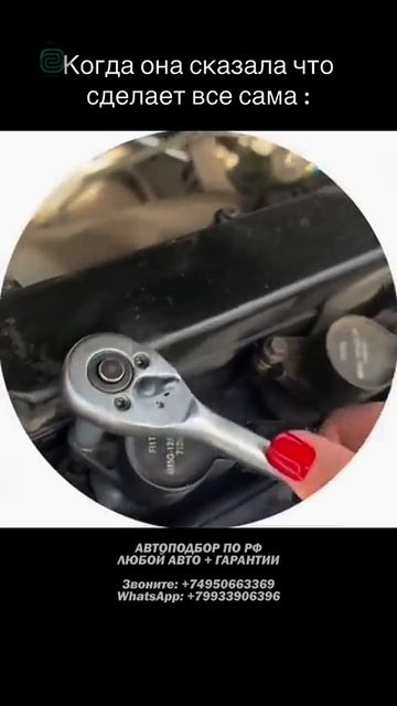 ОНА ВСЕ ПРАВИЛЬНО ДЕЛАЕТ? #автоподбор #автоприколы #автоюмор #подборавто #купитьавто #привозавто смотреть онлайн