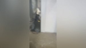 Линия убоя 250