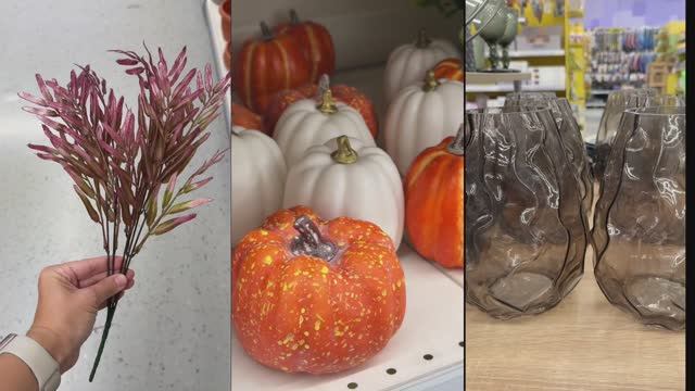 😍 МАГНИТ ПРЕВЗОШЕЛ ВСЕХ 🍁 КРАСОТУ НАШЛА 😍 Обзор новинок Магнит, Фамилия, Хофф и Моди 😍 смотреть онлайн