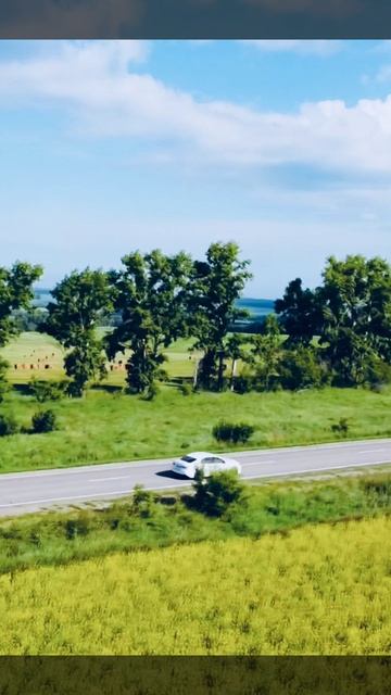 Алдар Дархиев