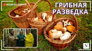 Грибная разведка 30 августа 2025 Гатчинский район