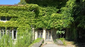 Дача Сталина. 500 м от Афонского монастыря. Абхазское гостеприимство стоит 300 руб