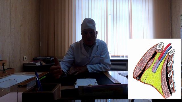 Грудная стенка, грудная полость, топографическая анатомия. анатомия часть 1 проф. Ахмадудинов М.Г. смотреть онлайн