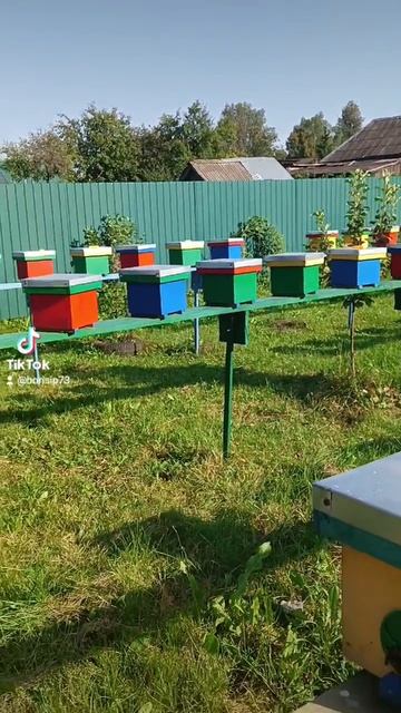 🐝🐝🐝🐝🐝♥️❤️♥️❤️♥️❤️ смотреть онлайн