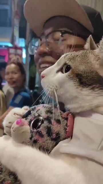 Ничего романтичнее сегодня вы уже не увидите)) 😻 #котик #салют