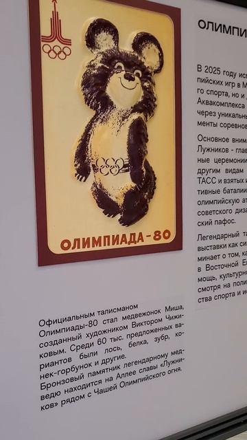 Олимпиада 80 20250902 смотреть онлайн