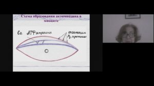 Физиологические роды.