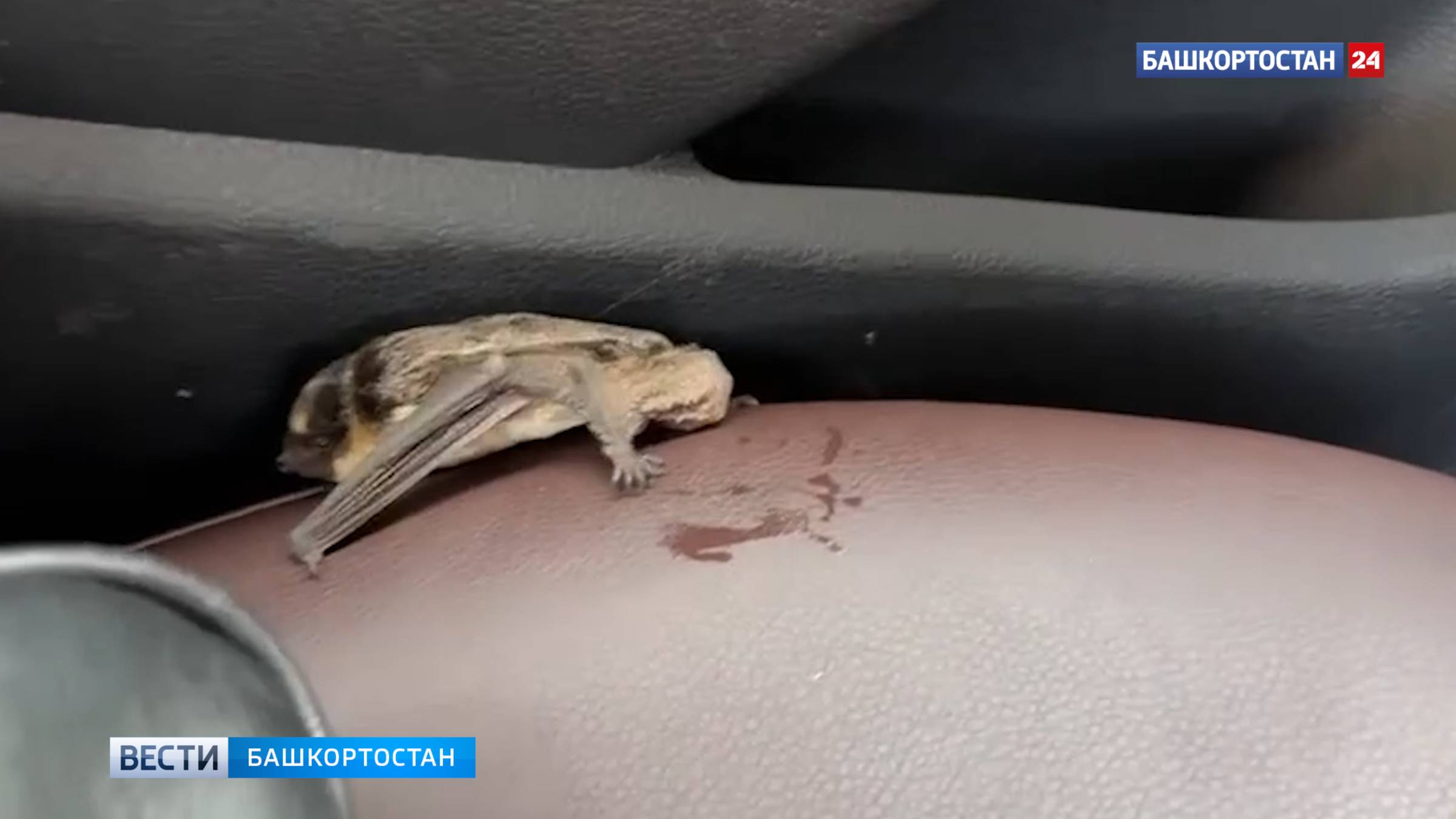 ГТРК Башкортостан