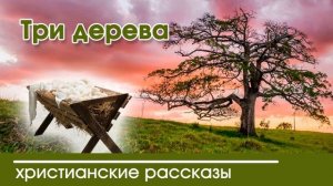 Три дерева - ИНТЕРЕСНЫЙ ХРИСТИАНСКИЙ РАССКАЗ | Христианские рассказы