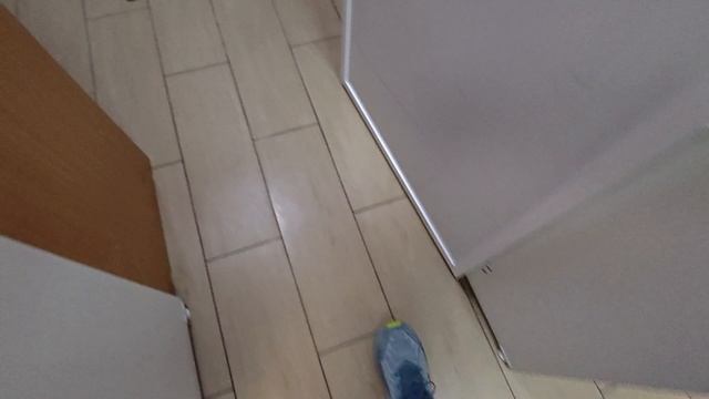 Первомайский пр-т 33, внутри.mp4 смотреть онлайн