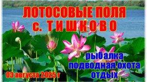 Лотосовая симфония: рыбалка и отдых в с.Тишково Астраханской области, 03.08.2025 г