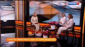 АФ «Сибирский сад» на телеканале Россия 1