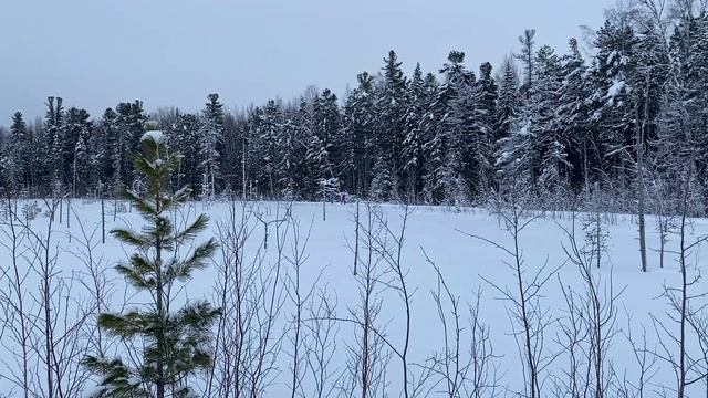 БО Радуга 2021